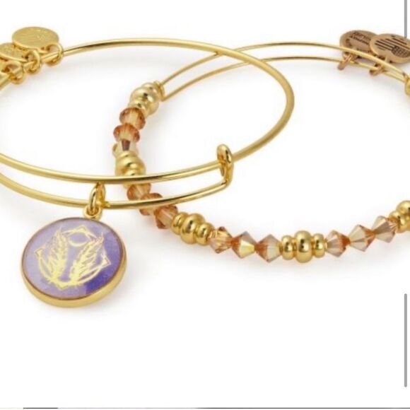 Alex and Ani Godspeed Art Infusion Crescent Moon, Feathers and Beads Bangle Set - Picture 10 of 16